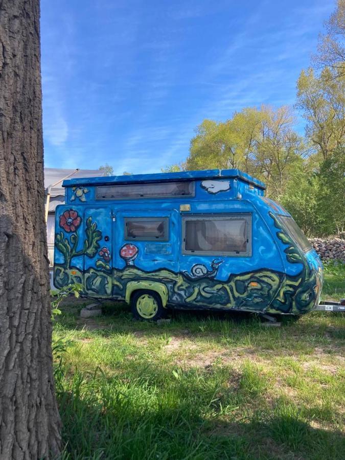 Camping Rogowo ميجيجنو الغرفة الصورة