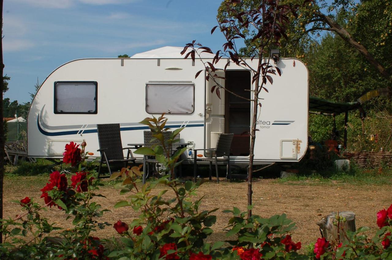 Camping Rogowo ميجيجنو المظهر الخارجي الصورة