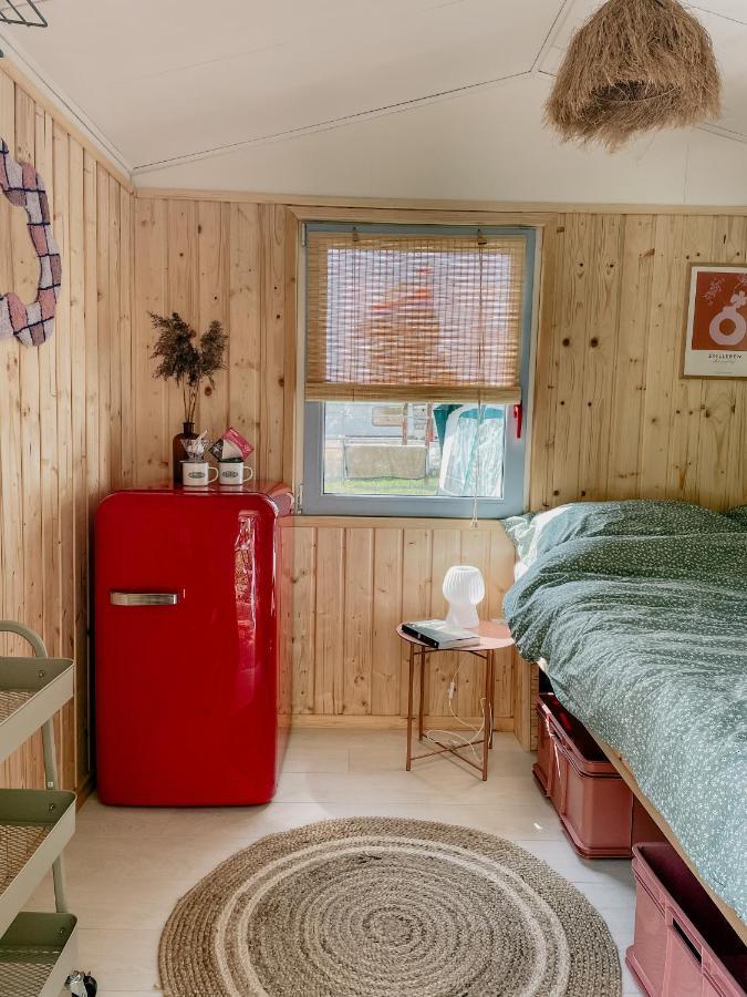 Camping Rogowo ميجيجنو المظهر الخارجي الصورة